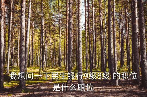 銀行評級8級是什么，銀行貸款評級