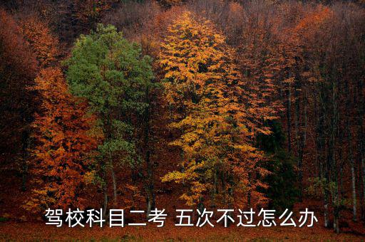 駕?？颇慷?五次不過怎么辦