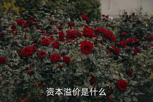 什么是溢價，什么是資本溢價