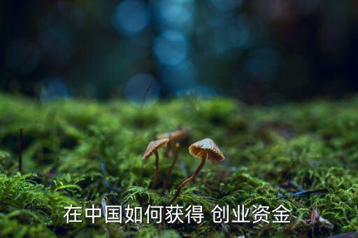 中國怎么創(chuàng)業(yè),創(chuàng)業(yè)、小企業(yè)怎么做?