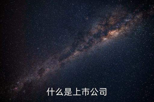 上市公司代表什么，上市公司什么意思