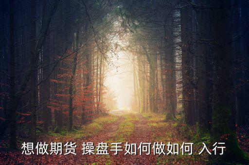 怎么入行做私募操盤(pán)手,職業(yè)操盤(pán)手的職業(yè)道路