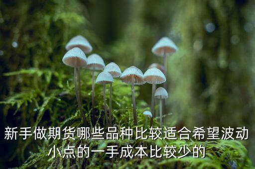 兩萬能做期貨什么品種，我用兩萬做商品期貨