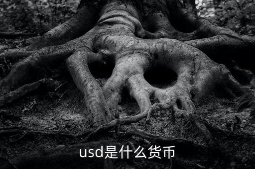 usd什么貨幣，什么是USD