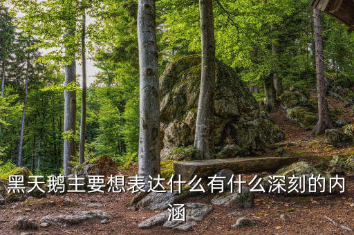 黑天鵝書說的是什么，黑天鵝主要想表達(dá)什么有什么深刻的內(nèi)涵