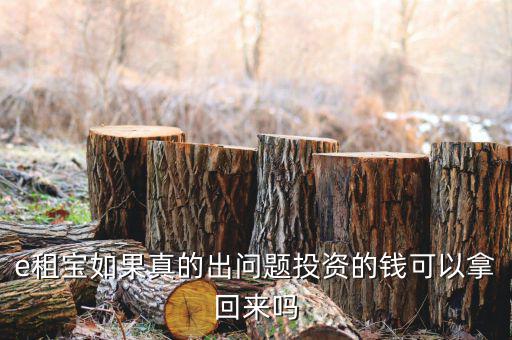 e租寶注冊有什么風險，朋友讓我給他注冊個e租包賬號安全嗎