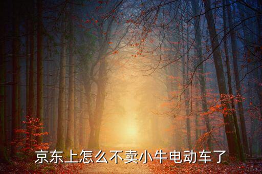 京東什么時(shí)候開放小牛，京東上怎么不賣小牛電動(dòng)車了