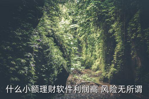 什么小額理財(cái)最安全，什么小額理財(cái)軟件利潤高 風(fēng)險(xiǎn)無所謂