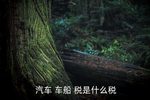 汽車車船稅是怎么樣,車船稅是對(duì)車輛、船舶征收的稅