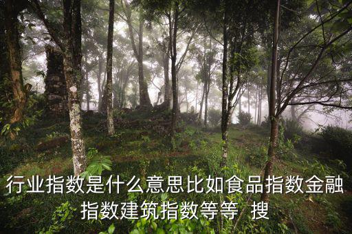 申萬行業(yè)指數(shù)是什么，申萬證券行業(yè)指數(shù)分級是什么指數(shù)基金嗎