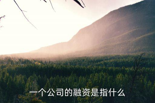 什么叫融資，一個(gè)公司的融資是指什么