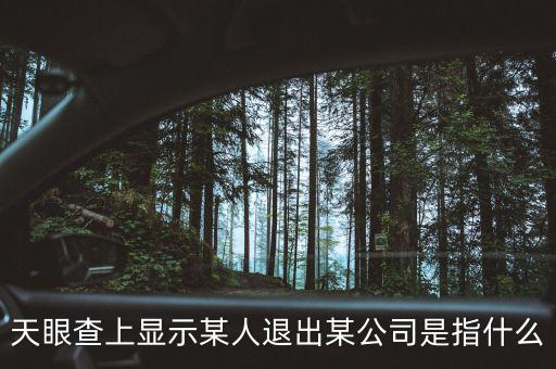 什么是退出類平臺(tái)公司，天眼查上顯示某人退出某公司是指什么