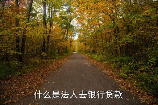什么是法人銀行，中國農(nóng)業(yè)銀行是什么法人
