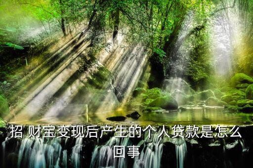 招財(cái)寶個人貸怎么退保,清算是一種個人貸款的直接融資項(xiàng)目?