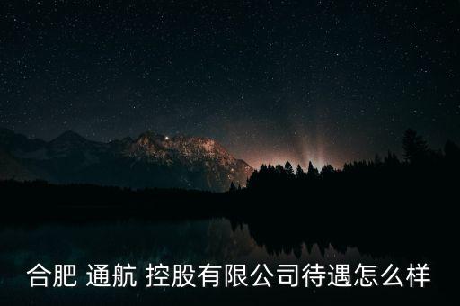 通航控股怎么樣,幸?？毓墒侵袊娇展I(yè)集團(tuán)公司子公司
