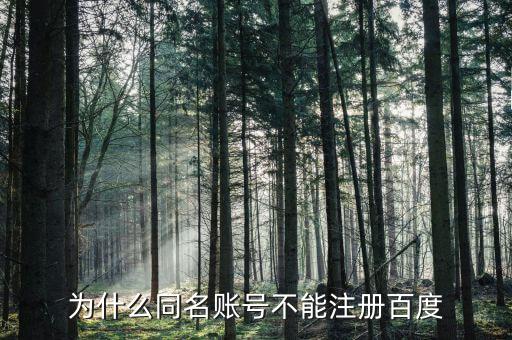 什么是同名賬戶，神武游戲說存在同名賬號是什么意思