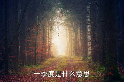 每一季度是什么意思，每季度什么意思