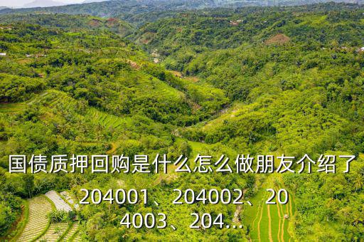 國債質(zhì)押回購是什么怎么做朋友介紹了 204001、204002、204003、204...