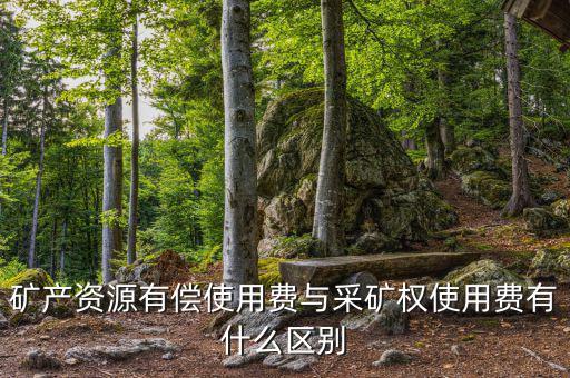 什么是采礦權(quán)價款資金占用費，資金占用費是怎么回事