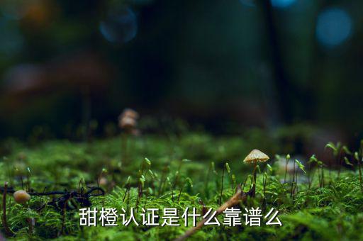 甜橙金融公司是什么，便捷的網(wǎng)貸理財企業(yè)是什么