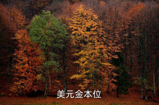 金本位什么時(shí)候，金本位制度是什么時(shí)候取消的