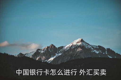 中國銀行網銀怎么外匯交易,中國銀行提供跨境匯款服務