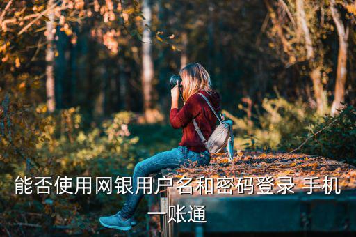 能否使用網(wǎng)銀用戶(hù)名和密碼登錄 手機(jī)一賬通