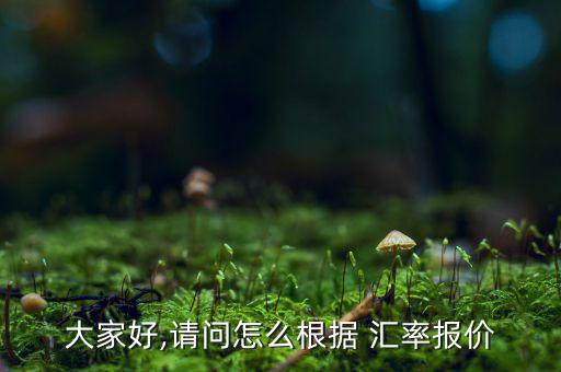 大家好,請(qǐng)問怎么根據(jù) 匯率報(bào)價(jià)