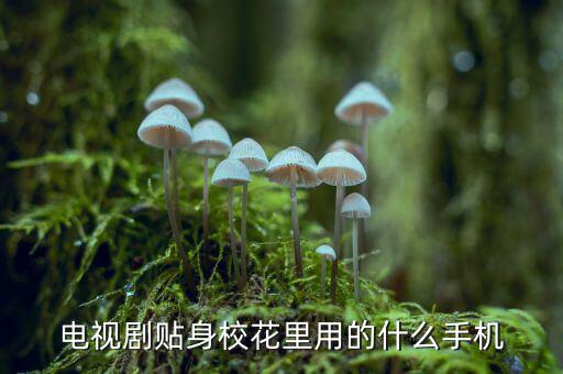 電視劇貼身?；ɡ镉玫氖裁词謾C