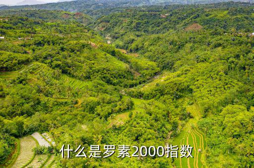 平安羅素是什么，平安epass是什么東西