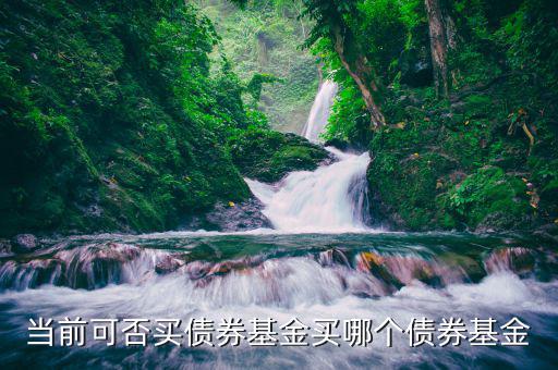 熊市買什么純債基金，當(dāng)前可否買債券基金買哪個(gè)債券基金