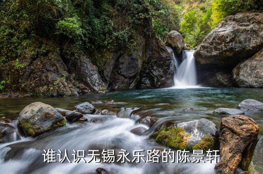 無(wú)錫國(guó)美永樂(lè)陳曉的兒子叫什么，陳曉權(quán)是誰(shuí)