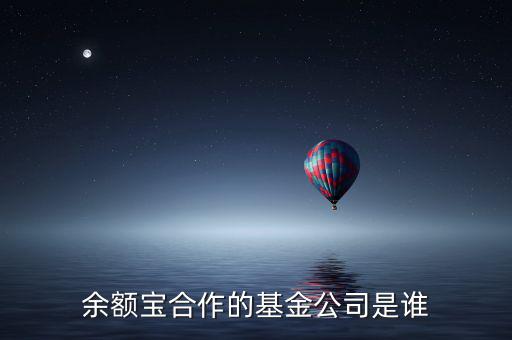 余額寶投資過什么公司，余額寶合作的基金公司是誰