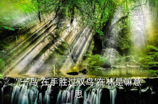 一鳥(niǎo)在手怎么做,一鳥(niǎo)在手勝過(guò)林中雙鳥(niǎo)衍生成諺語(yǔ)