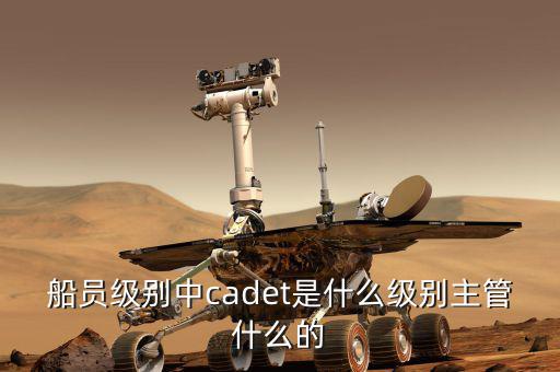 中船總經(jīng)理什么級(jí)別，中國(guó)船舶總公司總經(jīng)理啥級(jí)別