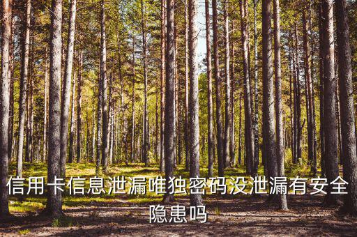 信用卡信息泄露有什么風(fēng)險，信用卡信息泄漏唯獨密碼沒泄漏有安全隱患嗎