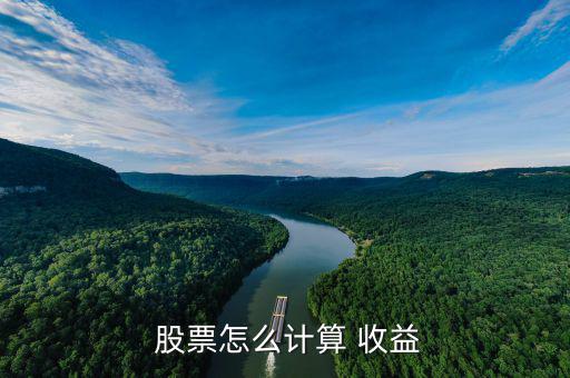 股票投資怎么看年收益,e.凈資產(chǎn)收益率是投資效應(yīng)系數(shù)的簡(jiǎn)稱