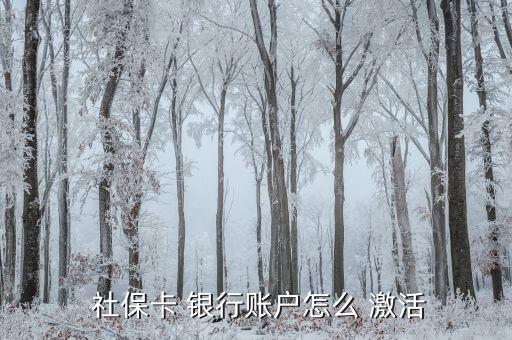 漢口銀行社保卡怎么激活,如何申請社?？ㄣy行卡激活第一步?