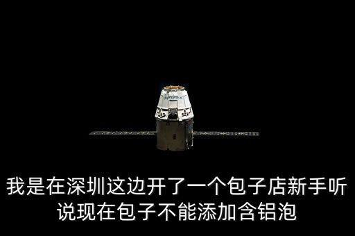包子禁止添加什么，我是在深圳這邊開了一個包子店新手聽說現(xiàn)在包子不能添加含鋁泡