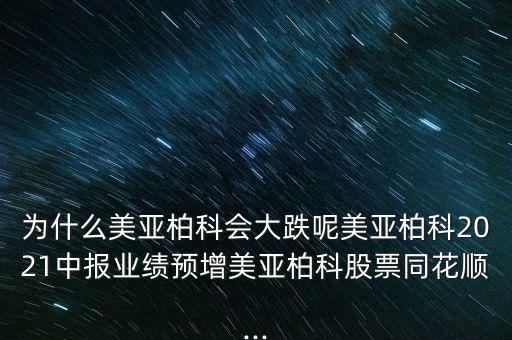 美亞桕科怎么停盤(pán)了呢,網(wǎng)絡(luò)安全優(yōu)質(zhì)企業(yè)美亞貝克正式成立