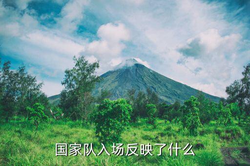 國(guó)家隊(duì)進(jìn)場(chǎng)是什么意思，國(guó)家隊(duì)入場(chǎng)反映了什么