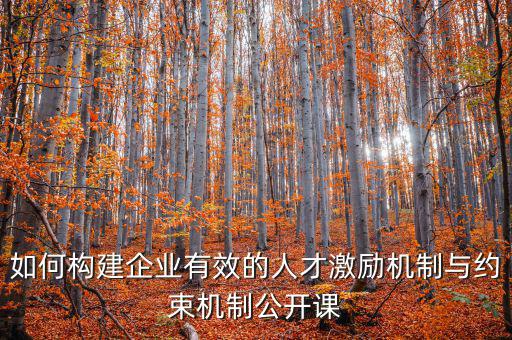 財務激勵與約束機制的設計原則是什么，財務激勵約束機制的概念是什么
