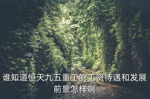 恒天九五什么時候上市，誰知道恒天九五重工的工資待遇和發(fā)展前景怎樣啊
