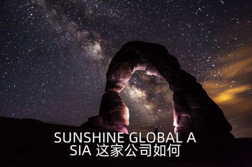 永信亞洲有限公司主要業(yè)務(wù)是什么，SUNSHINE GLOBAL ASIA 這家公司如何