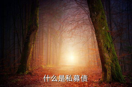 什么是小貸公司私募債，什么是私募債