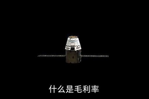 毛利率是什么，毛利率是什么意思