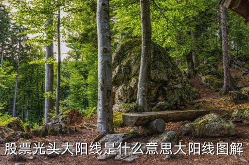 股票光頭大陽(yáng)線(xiàn)是什么意思大陽(yáng)線(xiàn)圖解