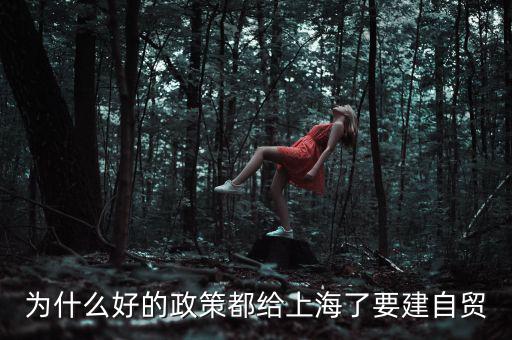 為什么要設(shè)立上海自貿(mào)區(qū)，上海自貿(mào)區(qū)成立的目的