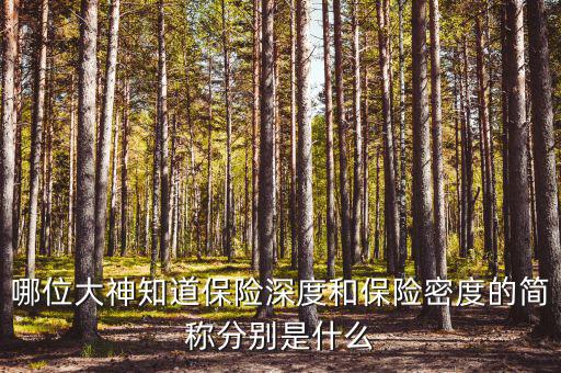 什么叫保險密度，保險深度與密度是什么