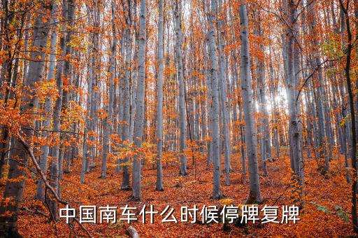 中國南車什么情況，中國南車跌停預(yù)示著大盤明天有什么狀況
